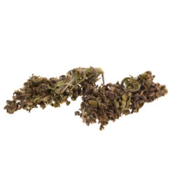 cbd-gras-noir-domina-bud_web