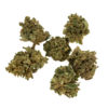 herbe-cbd-cannatonic-babybuds-eu_web