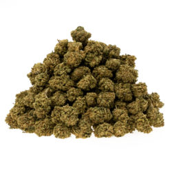 herbe-cbd-aigre-citron-EU_haufen_web